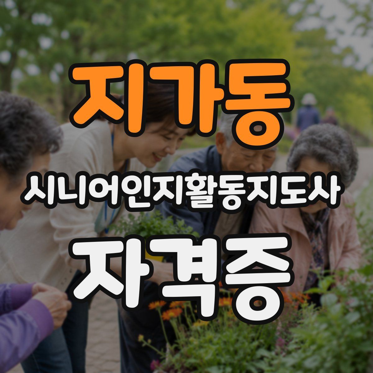 지가동 시니어인지활동지도사 자격증