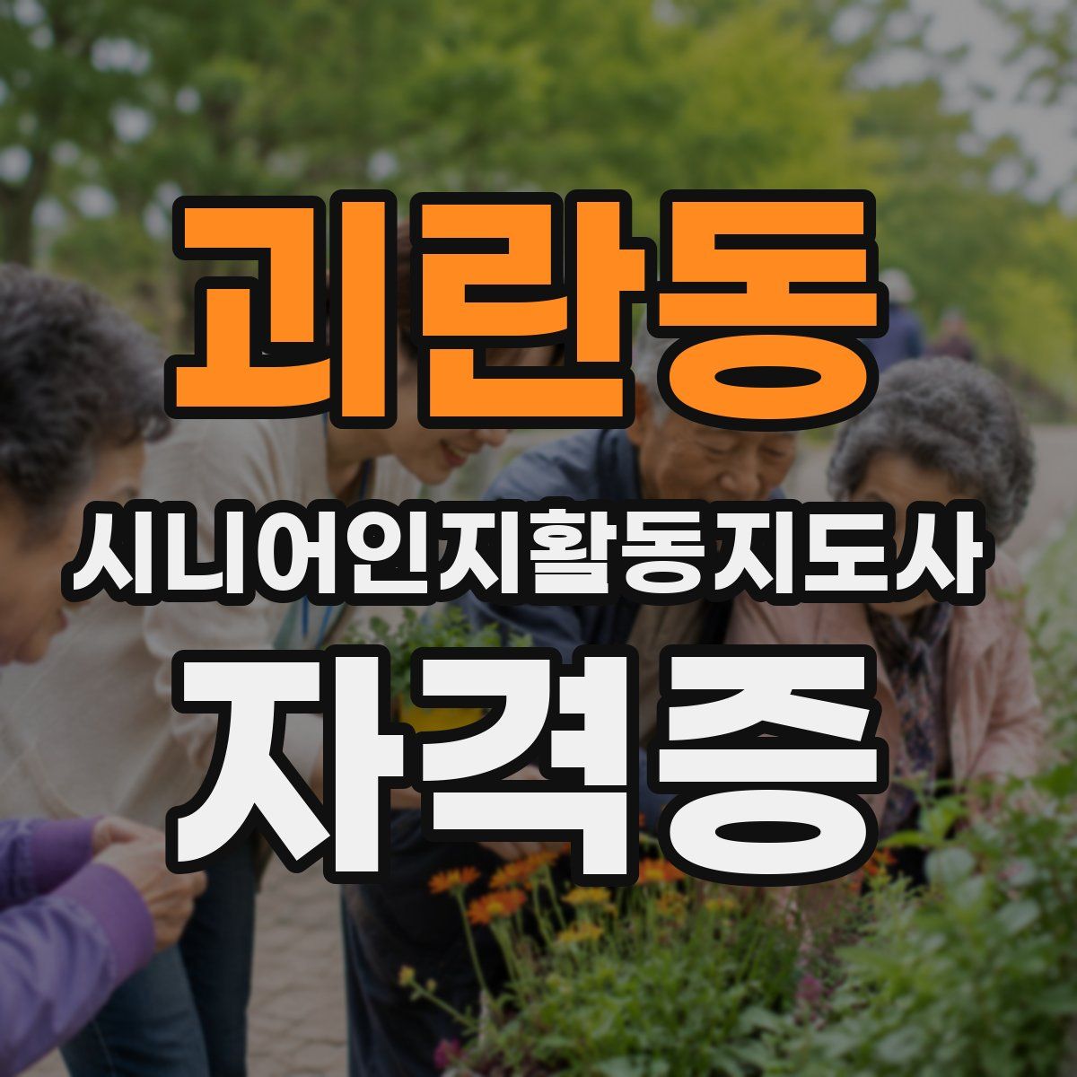 괴란동 시니어인지활동지도사 자격증
