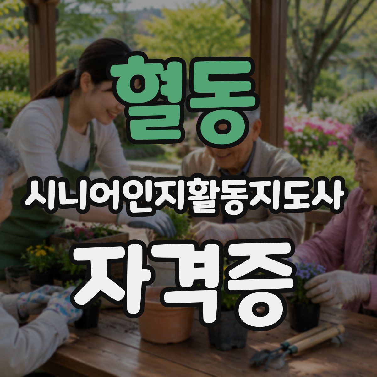 혈동 시니어인지활동지도사 자격증