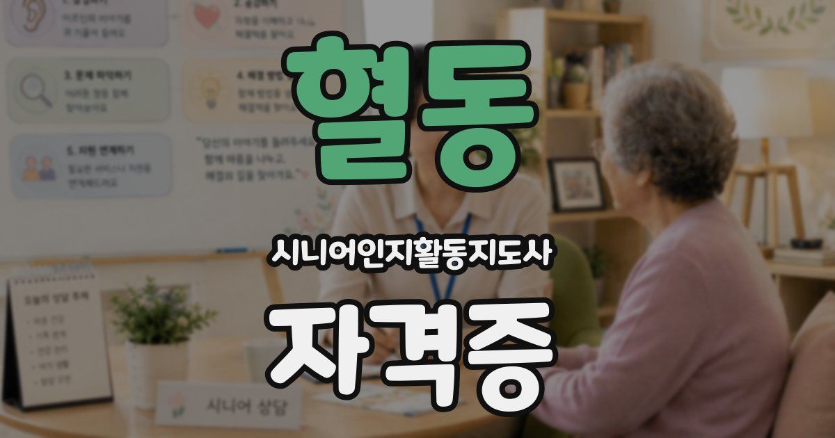 혈동 시니어인지활동지도사 자격증