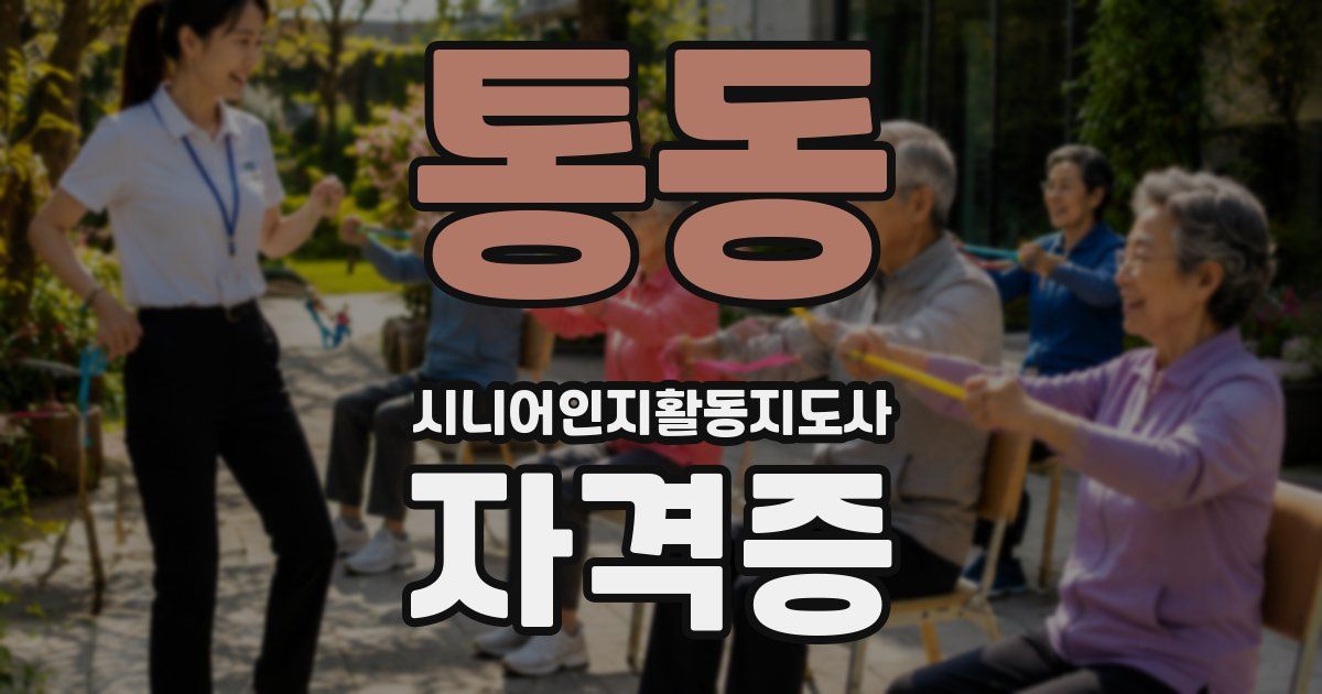 통동 시니어인지활동지도사 자격증