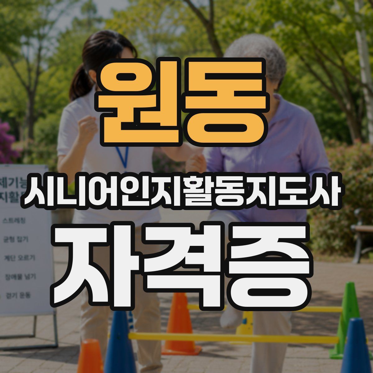원동 시니어인지활동지도사 자격증