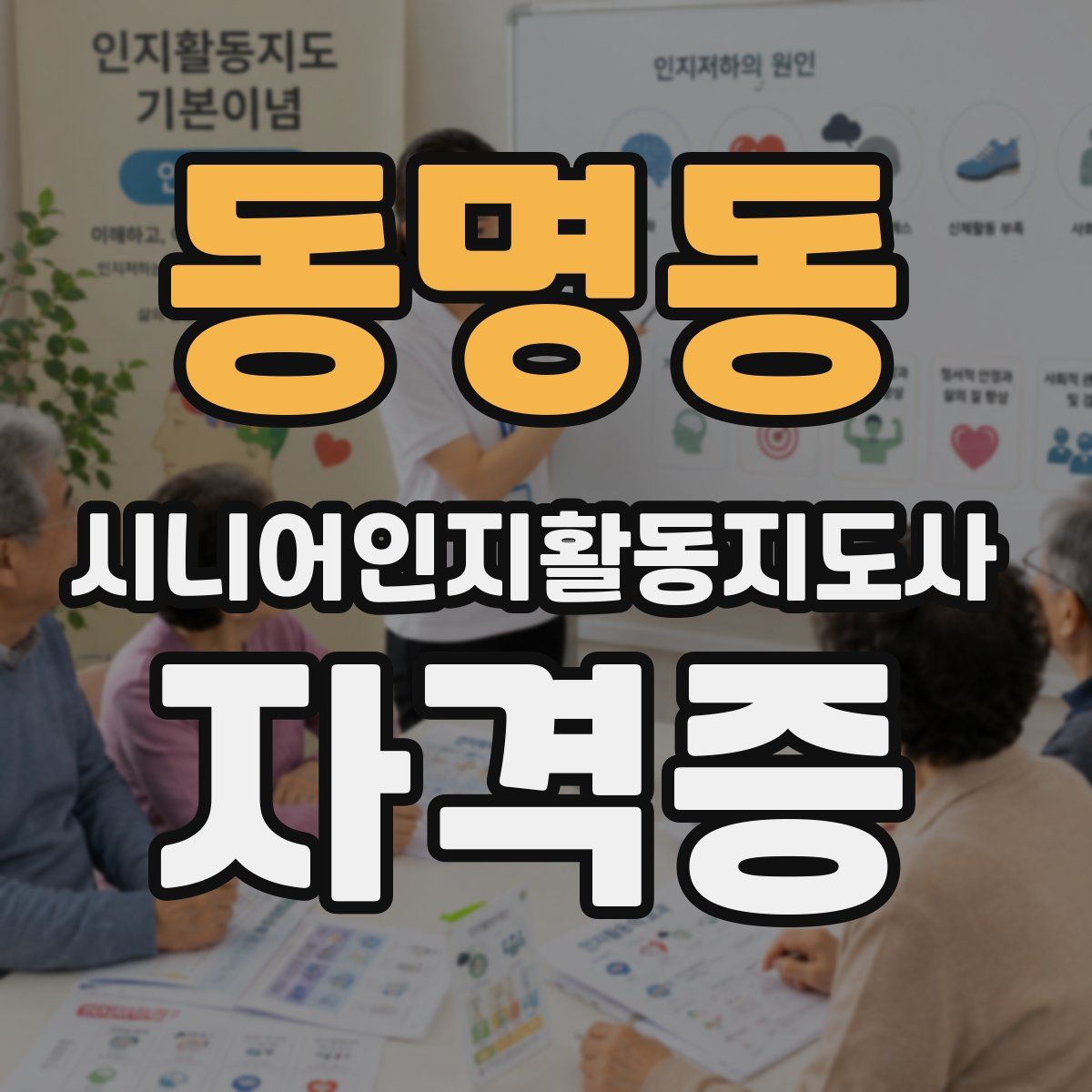 동명동 시니어인지활동지도사 자격증