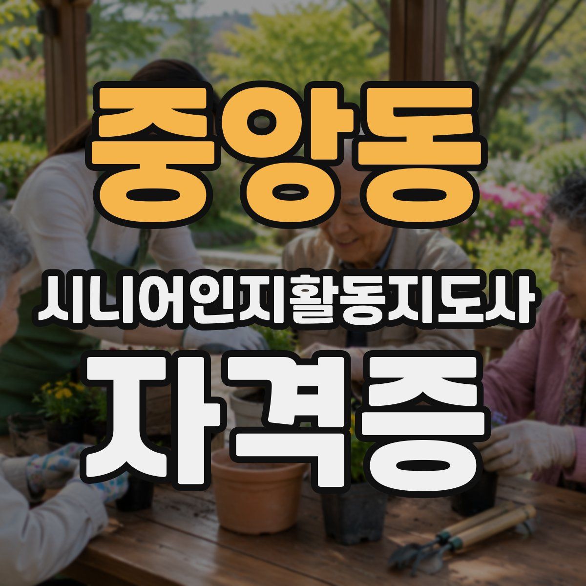 중앙동 시니어인지활동지도사 자격증