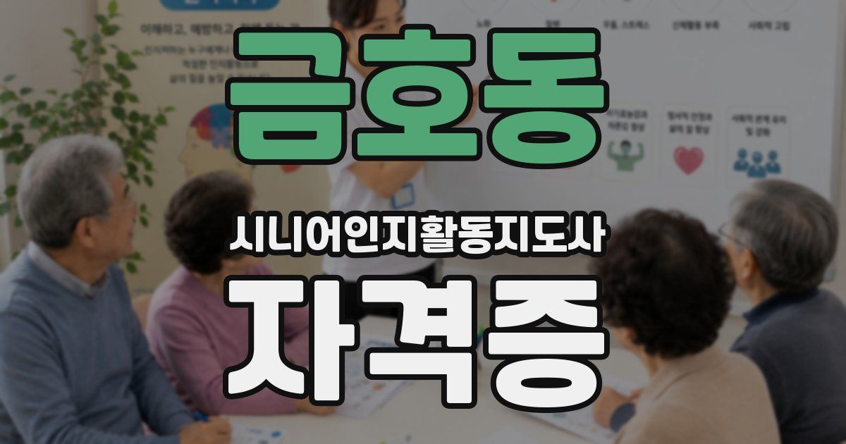 금호동 시니어인지활동지도사 자격증