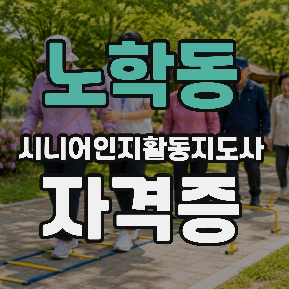 노학동 시니어인지활동지도사 자격증