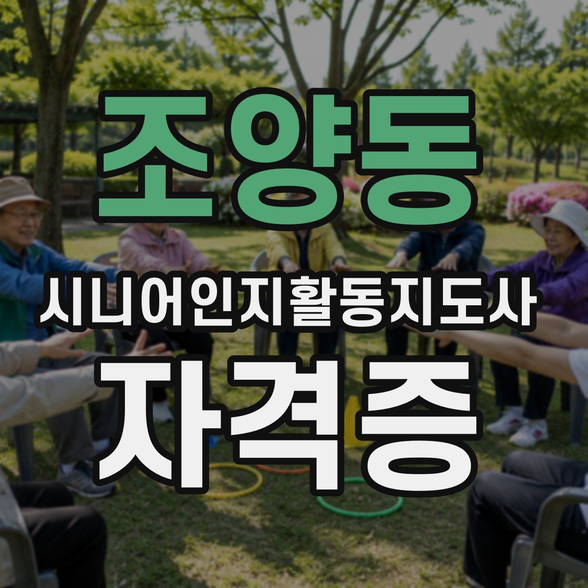 조양동 시니어인지활동지도사 자격증