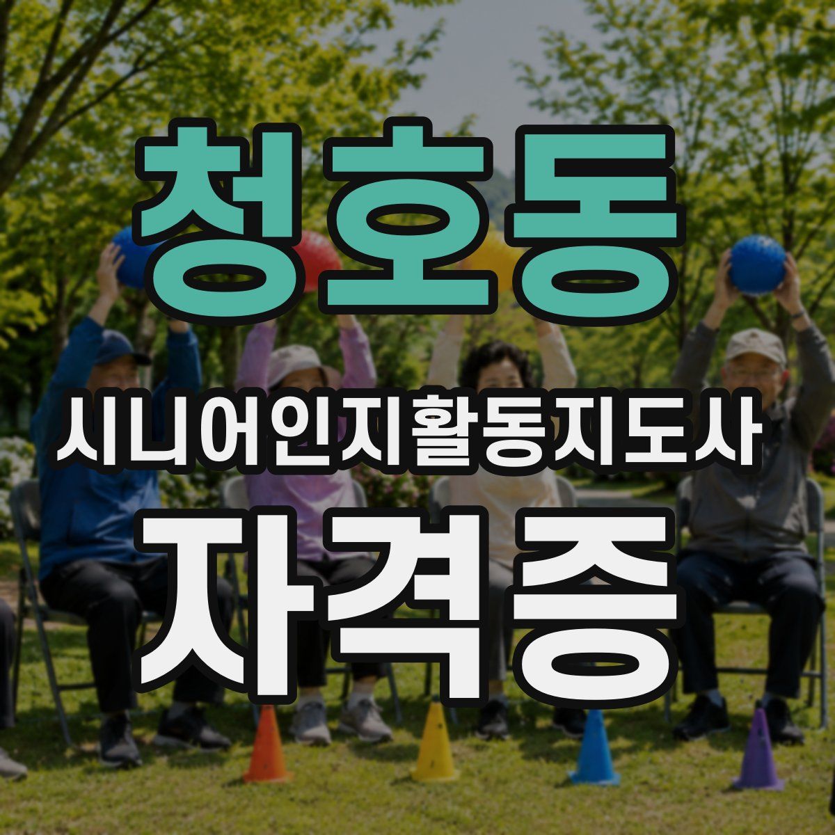 청호동 시니어인지활동지도사 자격증