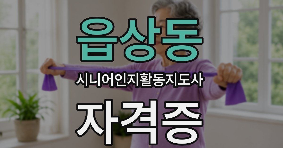 읍상동 시니어인지활동지도사 자격증