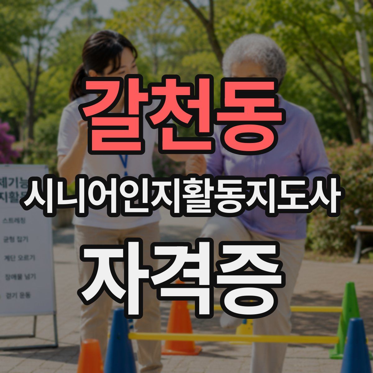 갈천동 시니어인지활동지도사 자격증