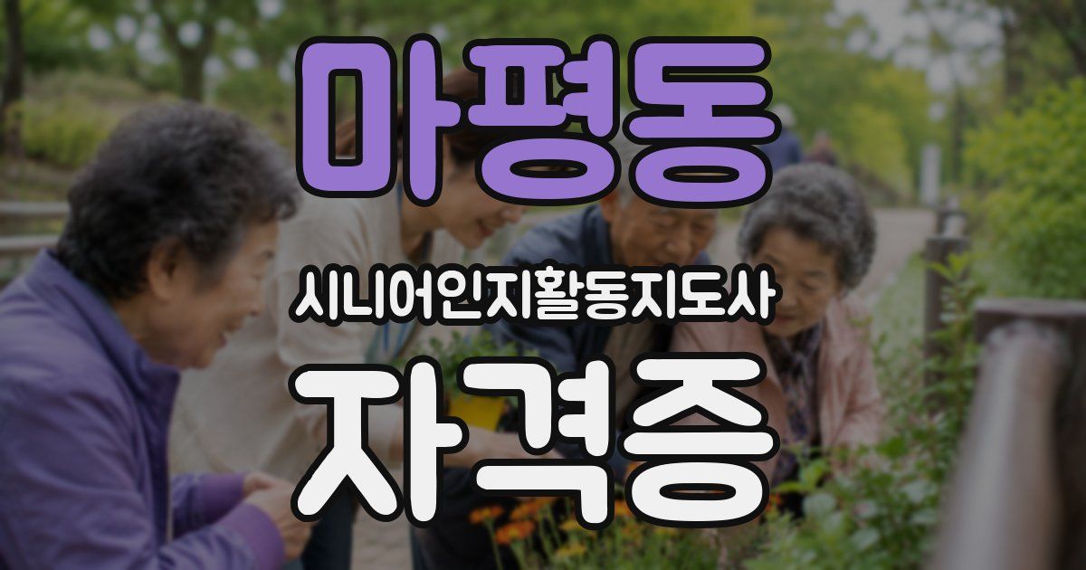 마평동 시니어인지활동지도사 자격증