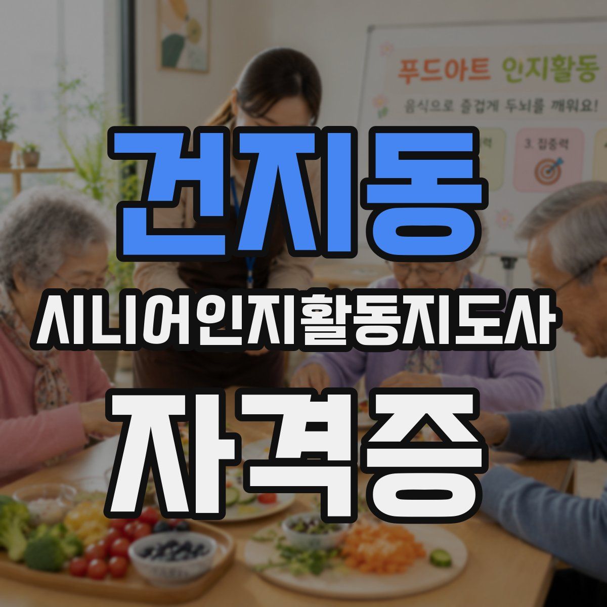 건지동 시니어인지활동지도사 자격증