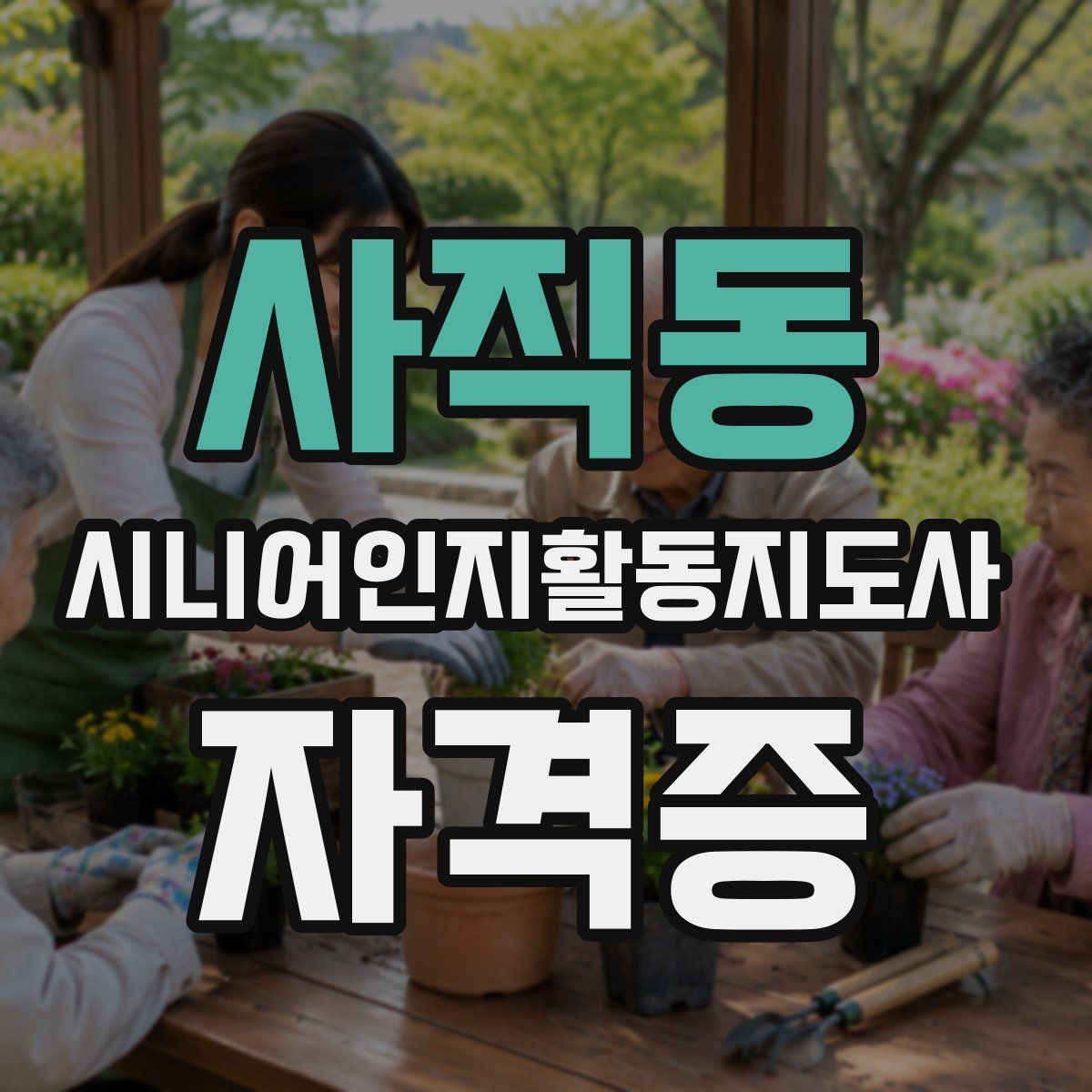 사직동 시니어인지활동지도사 자격증