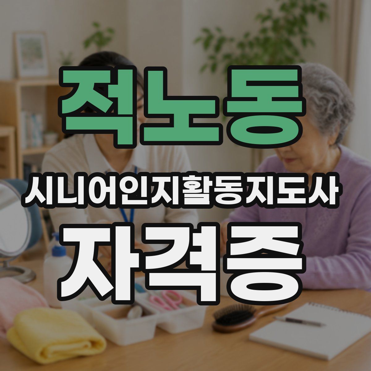 적노동 시니어인지활동지도사 자격증
