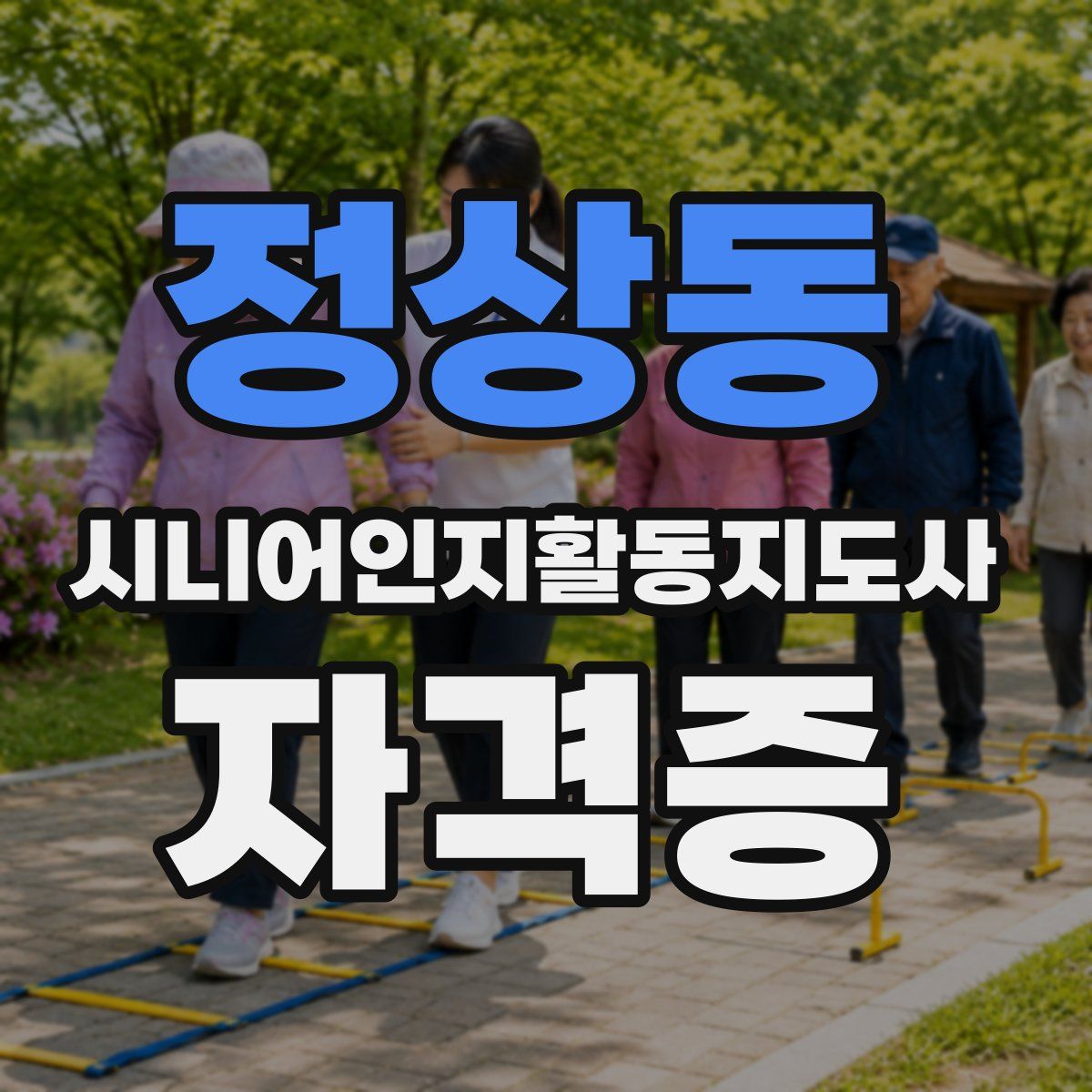 정상동 시니어인지활동지도사 자격증