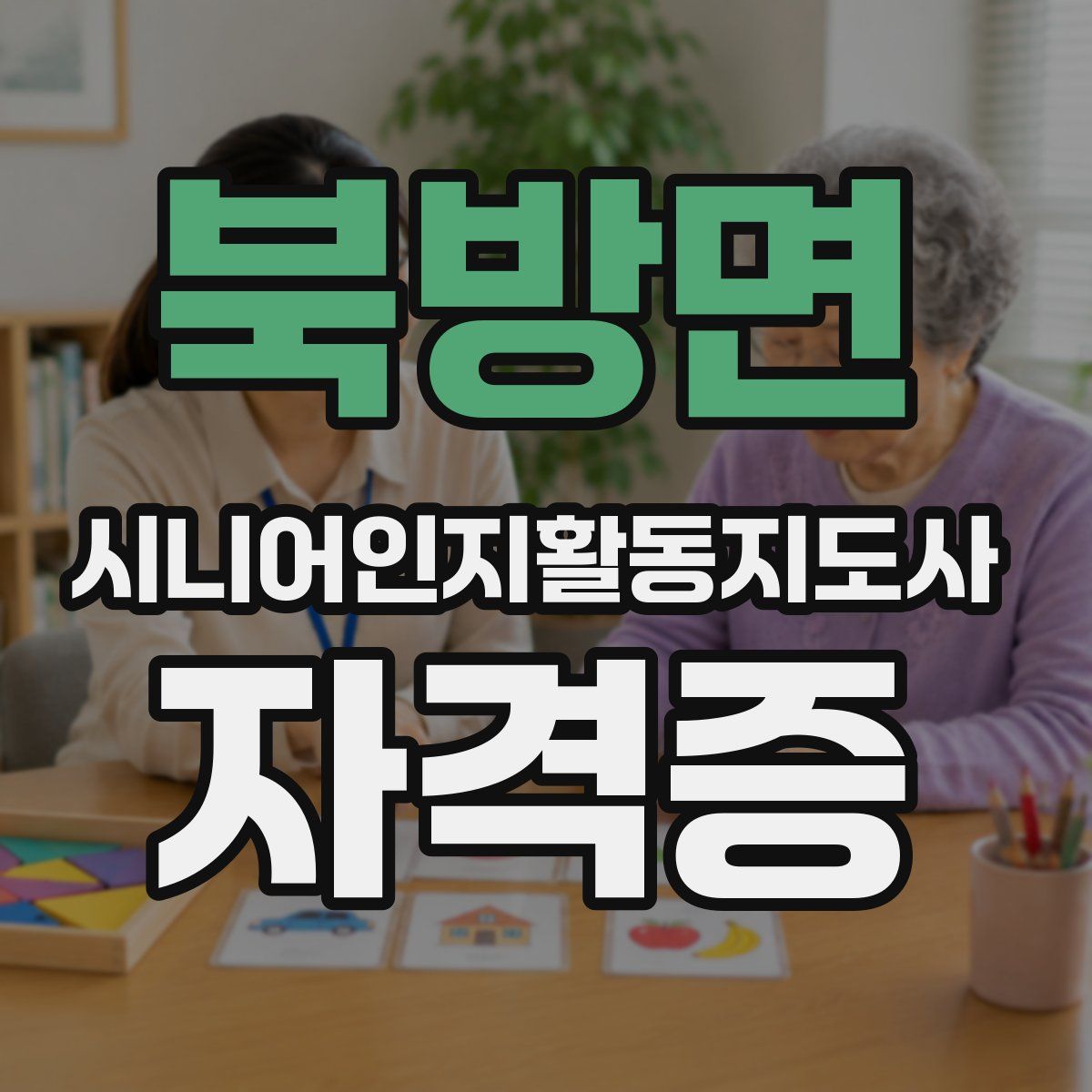 북방면 시니어인지활동지도사 자격증