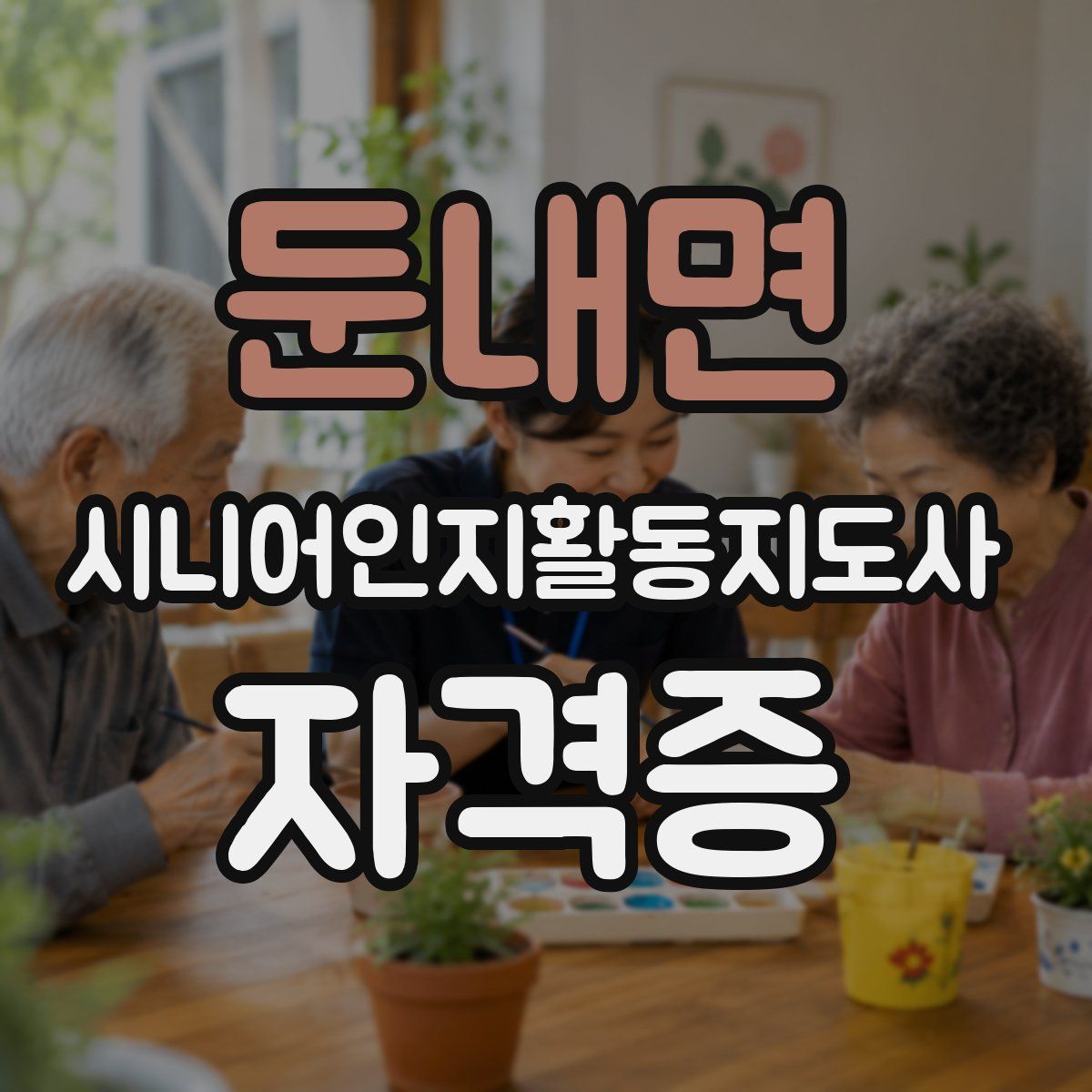 둔내면 시니어인지활동지도사 자격증