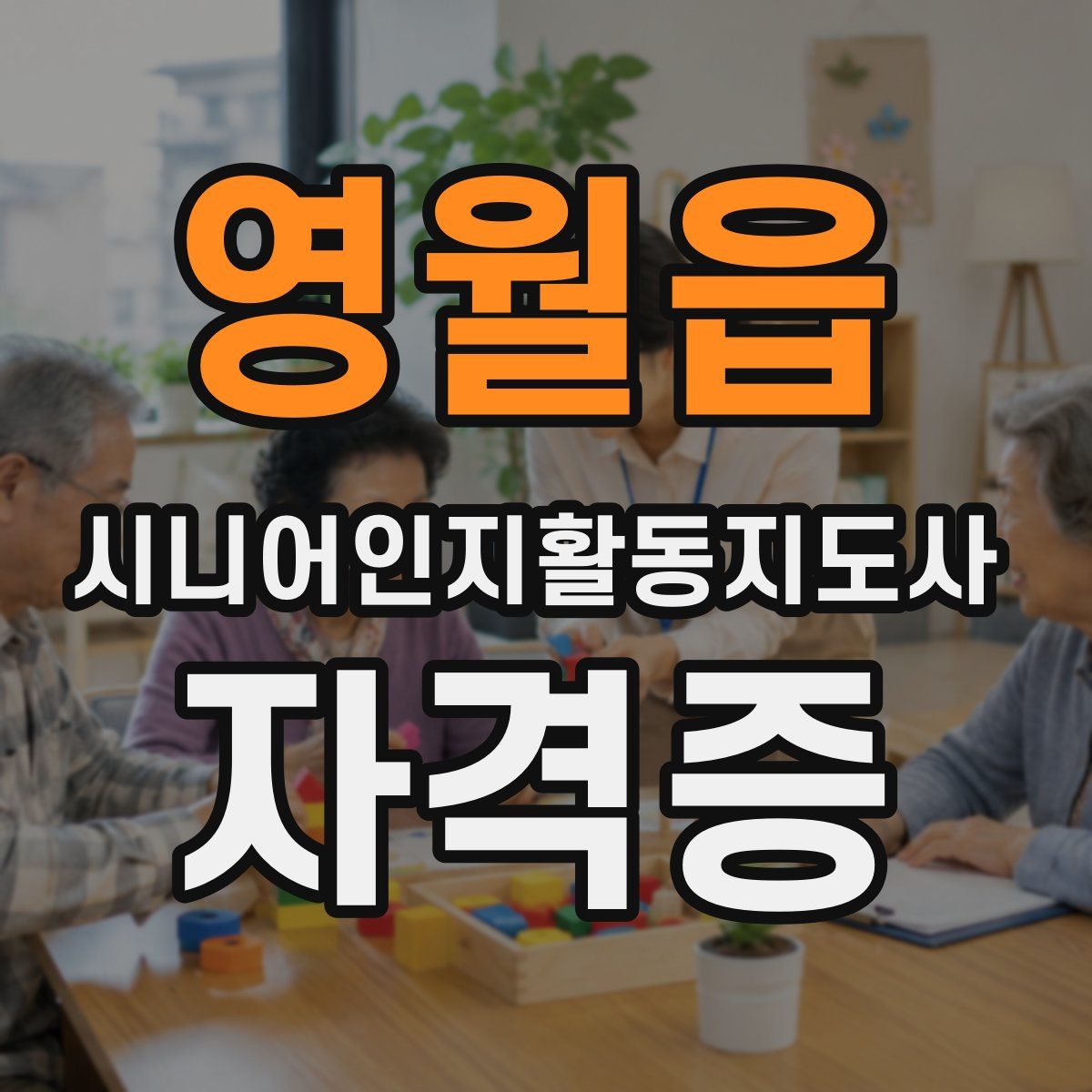 영월읍 시니어인지활동지도사 자격증