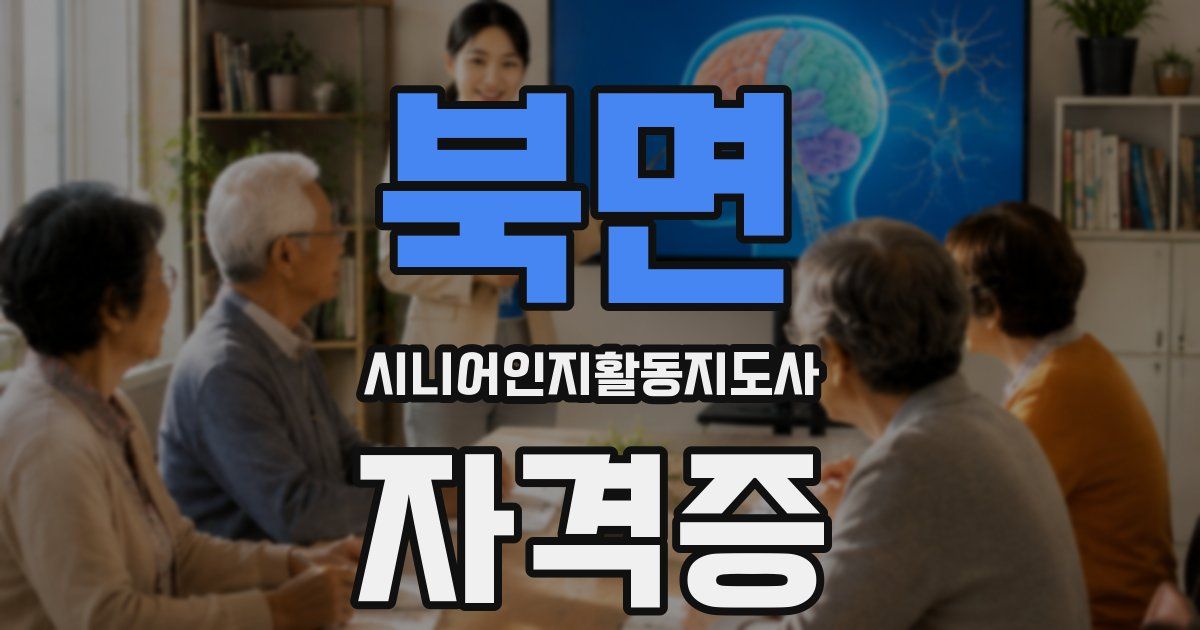 북면 시니어인지활동지도사 자격증