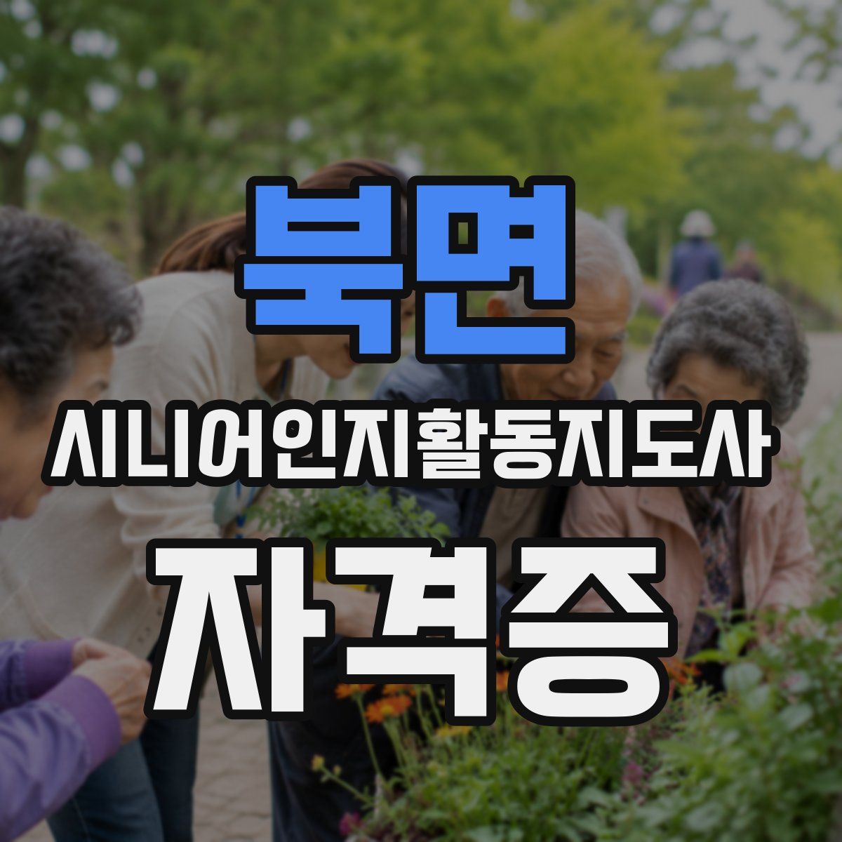 북면 시니어인지활동지도사 자격증