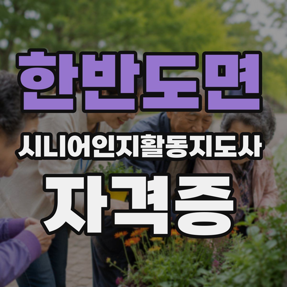 한반도면 시니어인지활동지도사 자격증