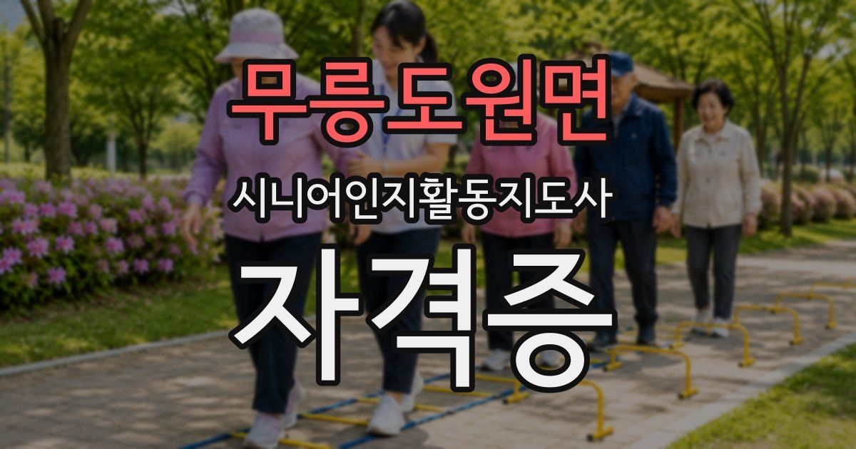 무릉도원면 시니어인지활동지도사 자격증