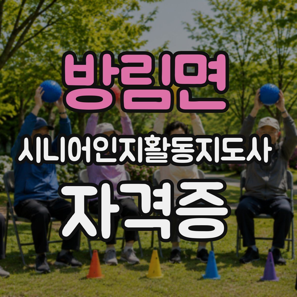 방림면 시니어인지활동지도사 자격증