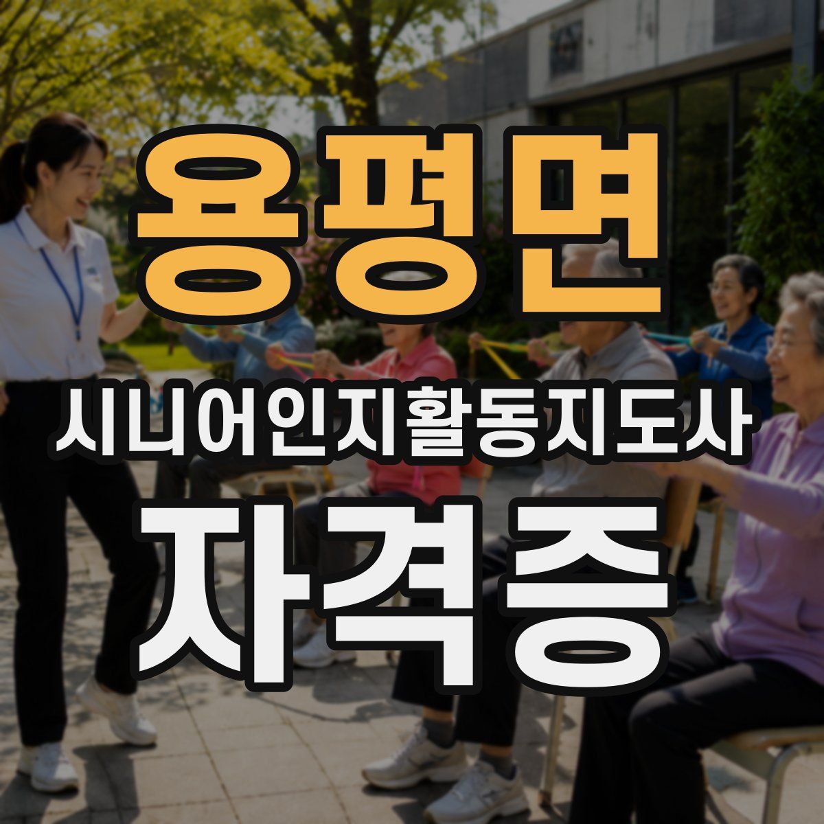용평면 시니어인지활동지도사 자격증