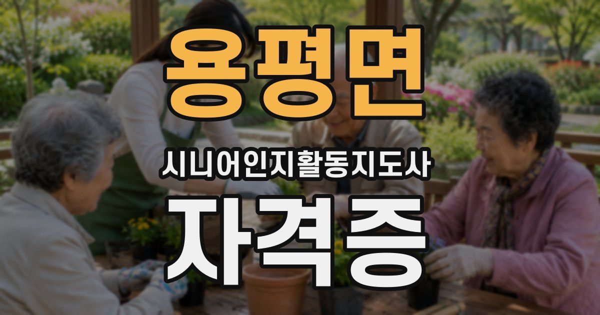용평면 시니어인지활동지도사 자격증