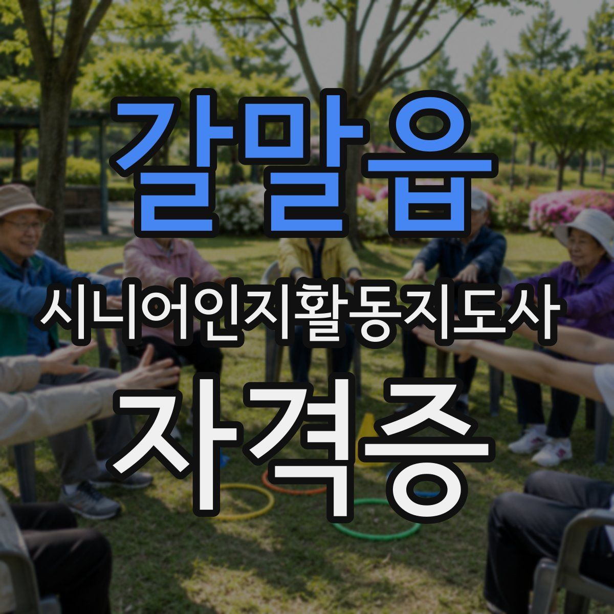 갈말읍 시니어인지활동지도사 자격증