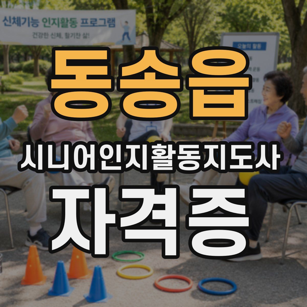 동송읍 시니어인지활동지도사 자격증