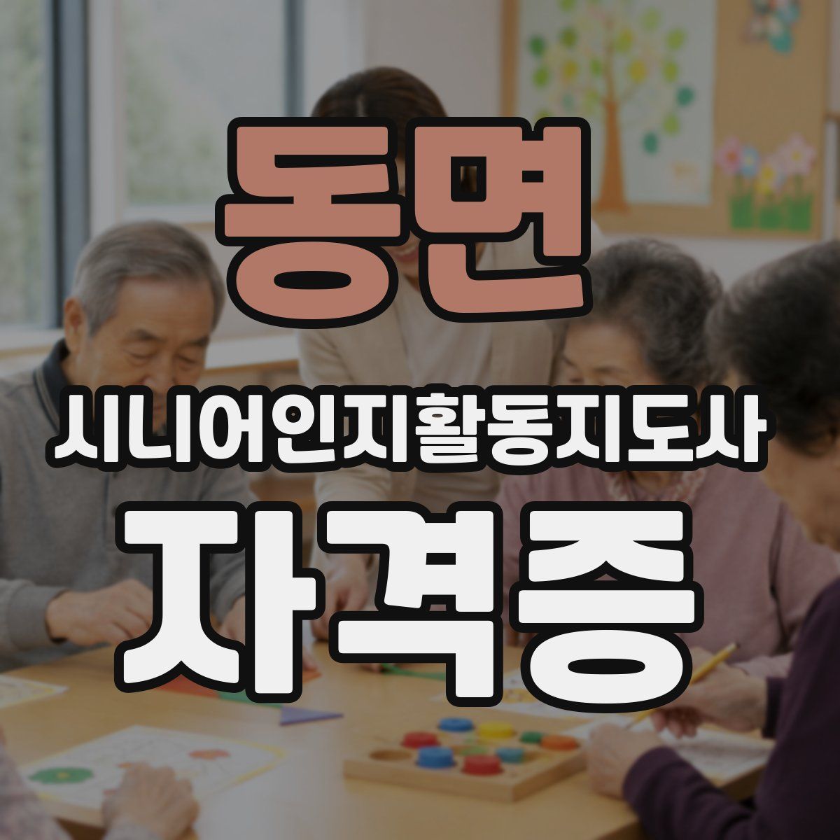 동면 시니어인지활동지도사 자격증