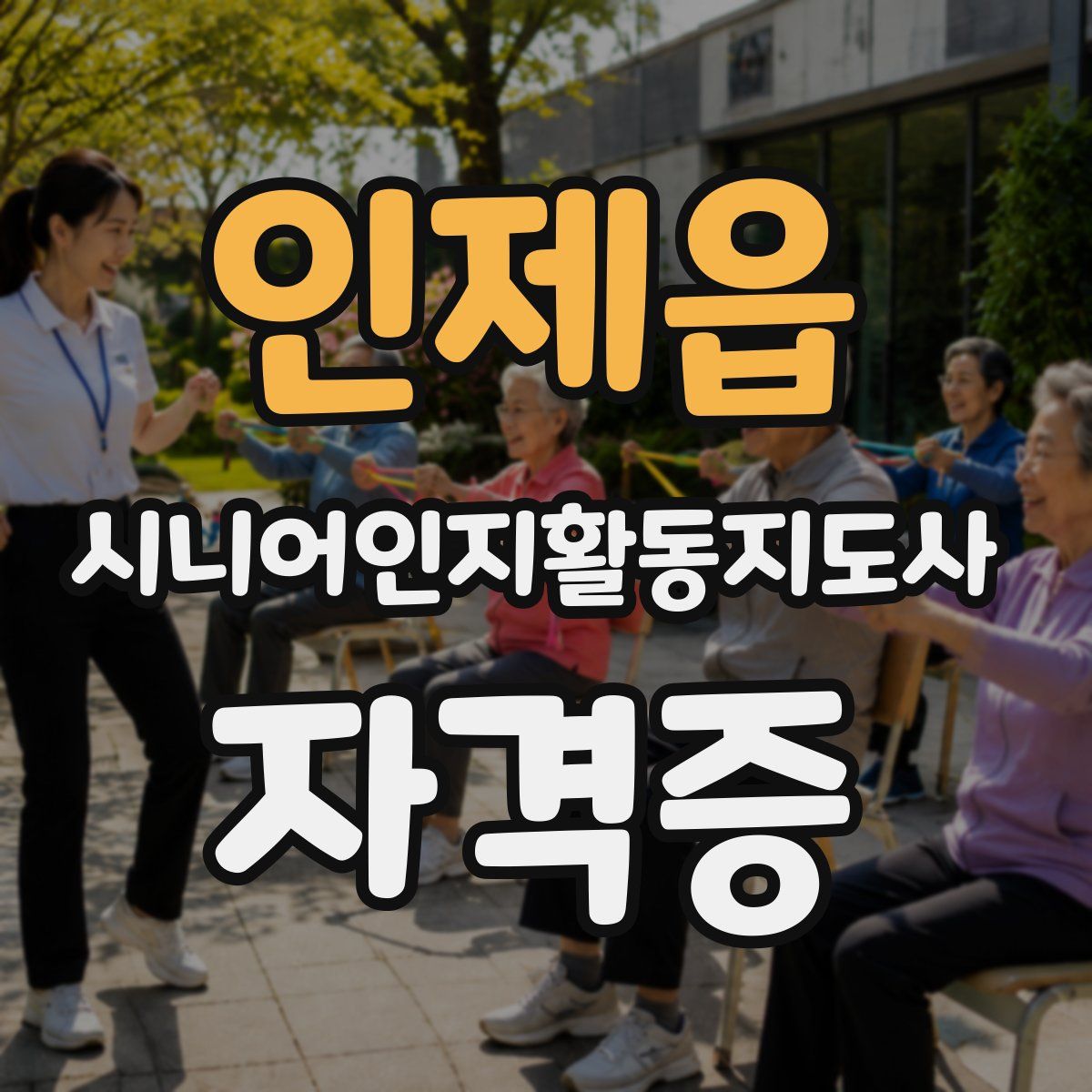 인제읍 시니어인지활동지도사 자격증