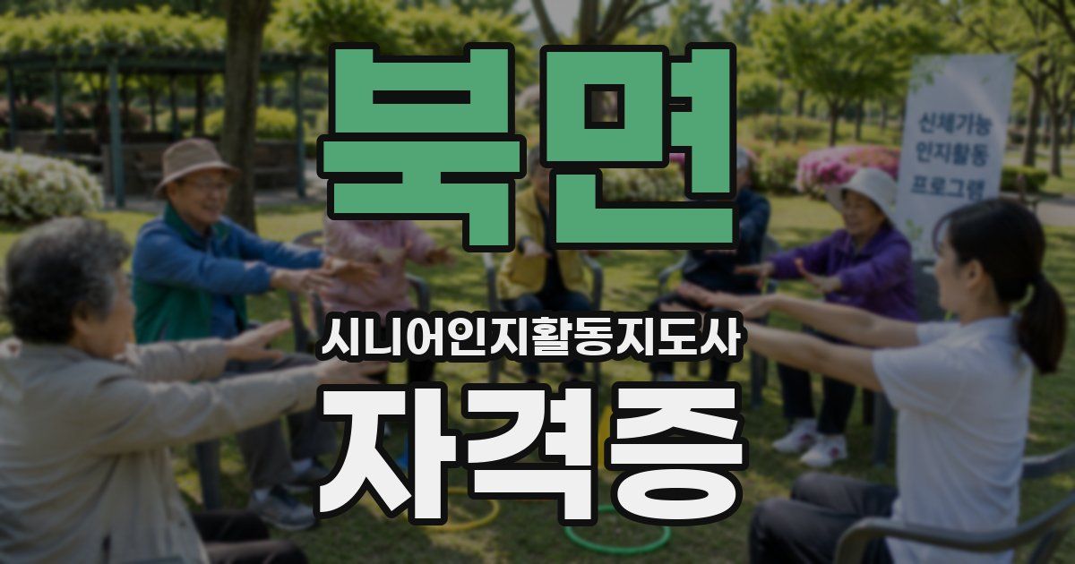 북면 시니어인지활동지도사 자격증
