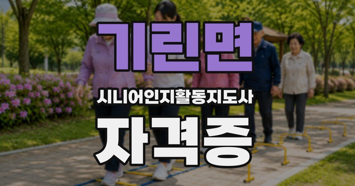 기린면 시니어인지활동지도사 자격증