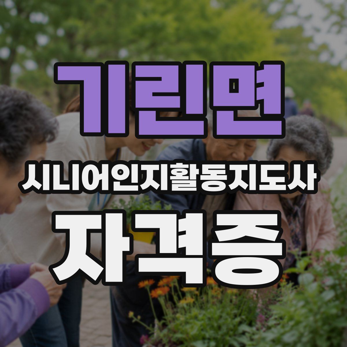 기린면 시니어인지활동지도사 자격증