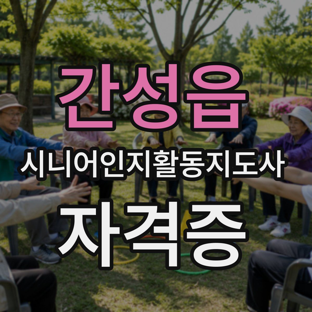 간성읍 시니어인지활동지도사 자격증