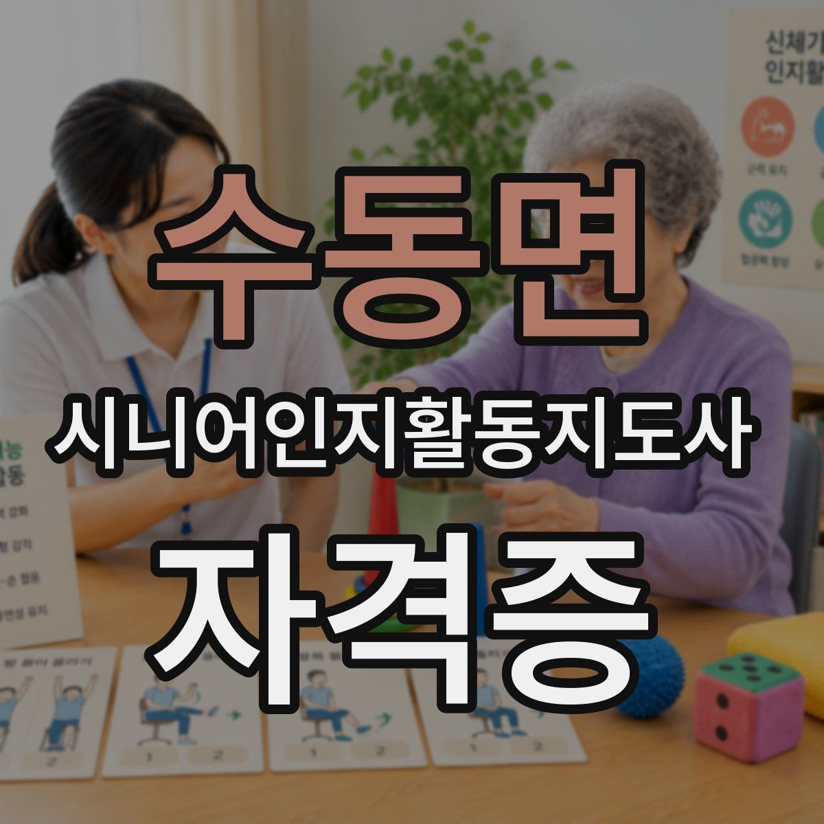 수동면 시니어인지활동지도사 자격증