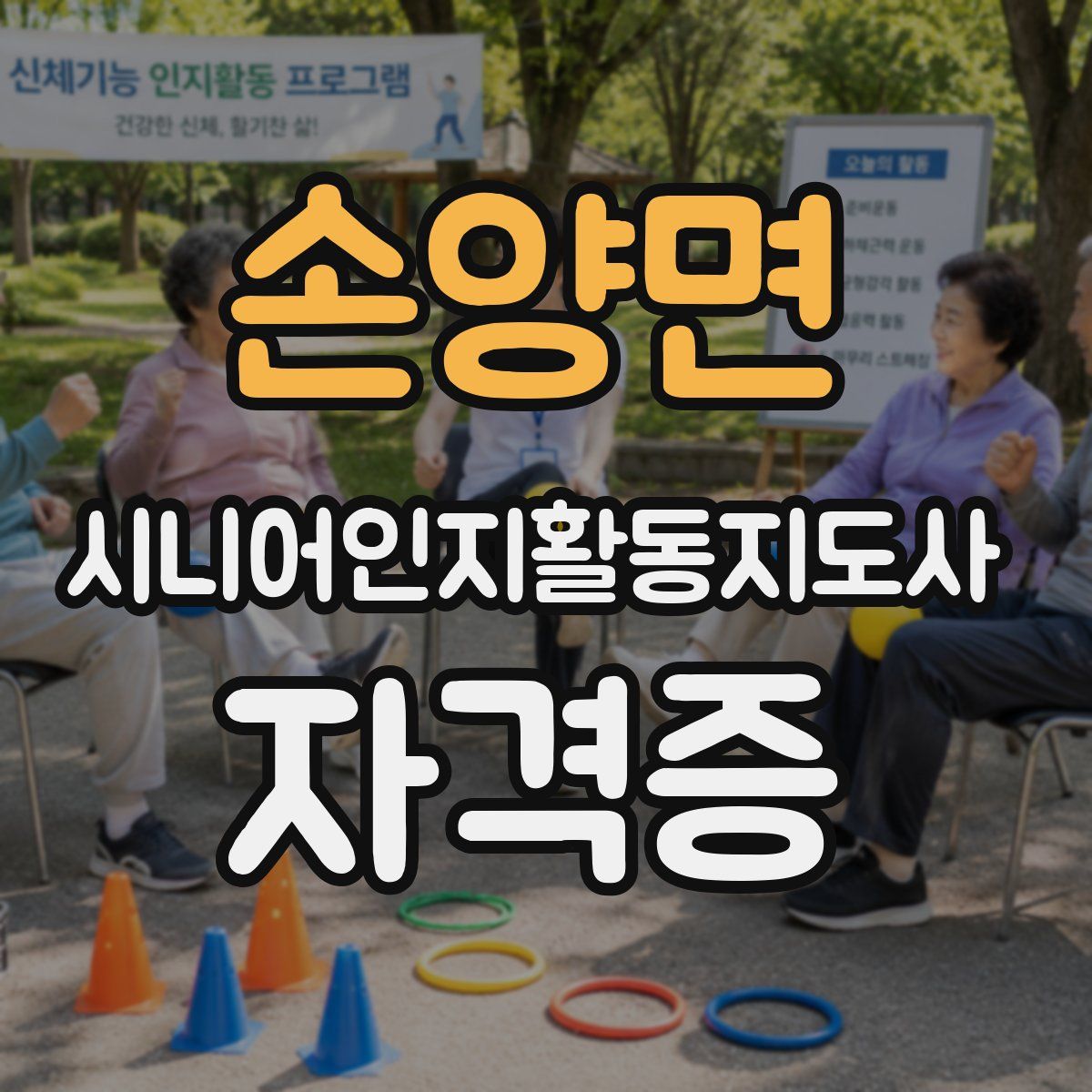 손양면 시니어인지활동지도사 자격증