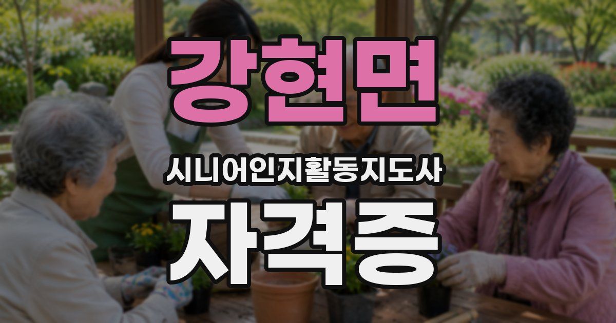 강현면 시니어인지활동지도사 자격증