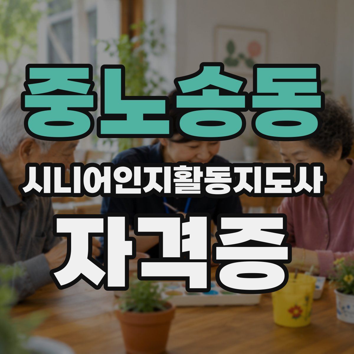 중노송동 시니어인지활동지도사 자격증