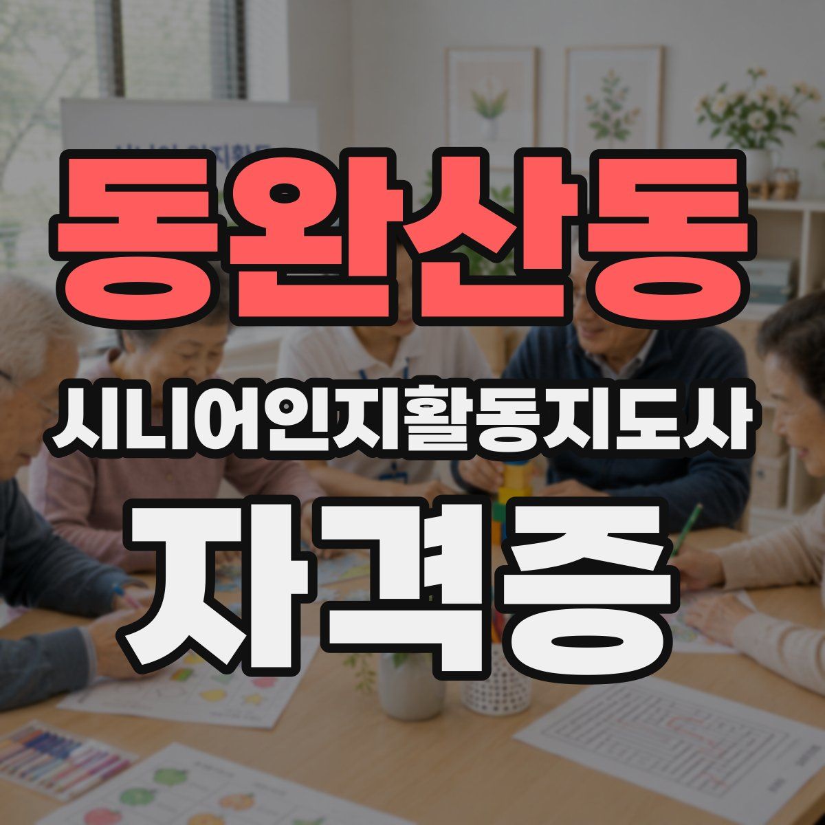 동완산동 시니어인지활동지도사 자격증
