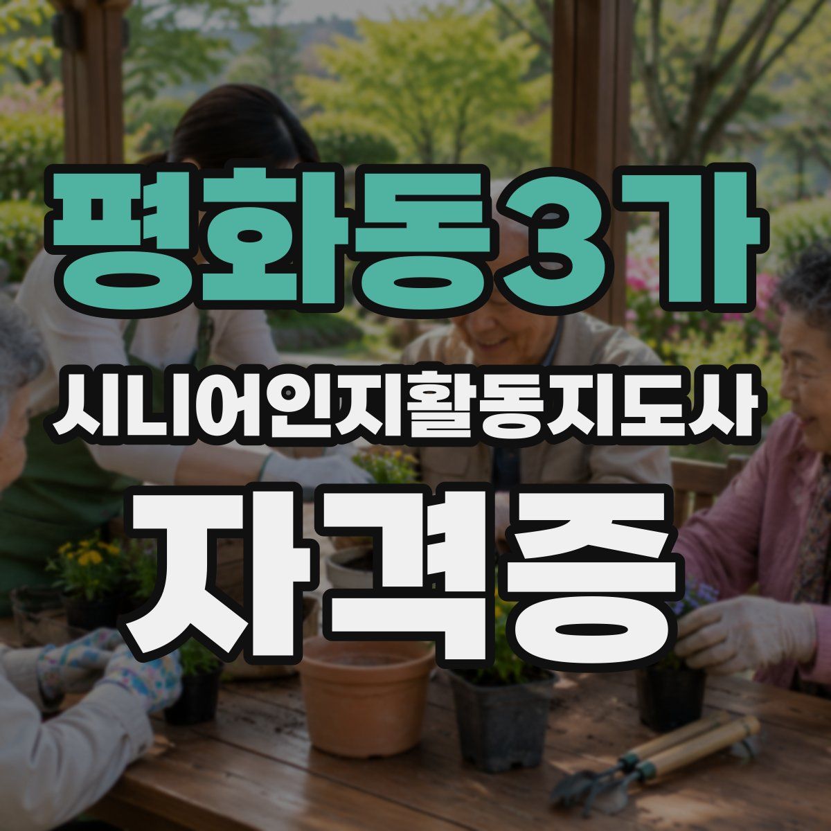 평화동3가 시니어인지활동지도사 자격증
