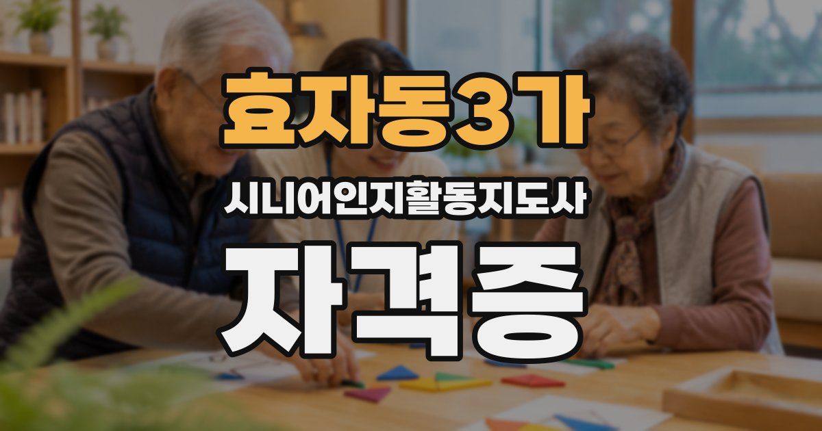 효자동3가 시니어인지활동지도사 자격증