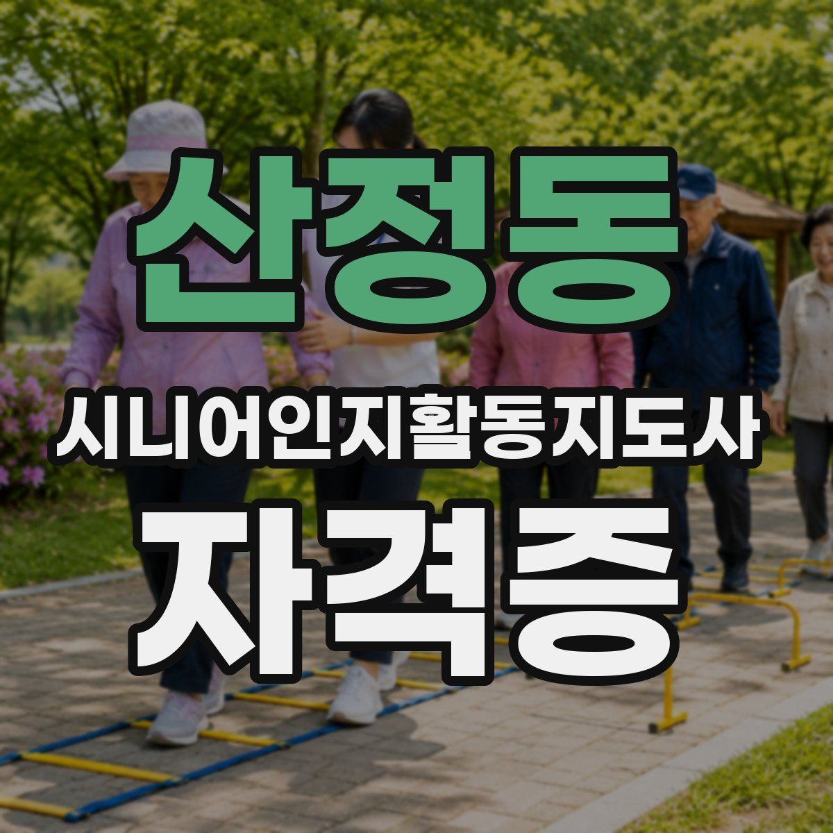 산정동 시니어인지활동지도사 자격증
