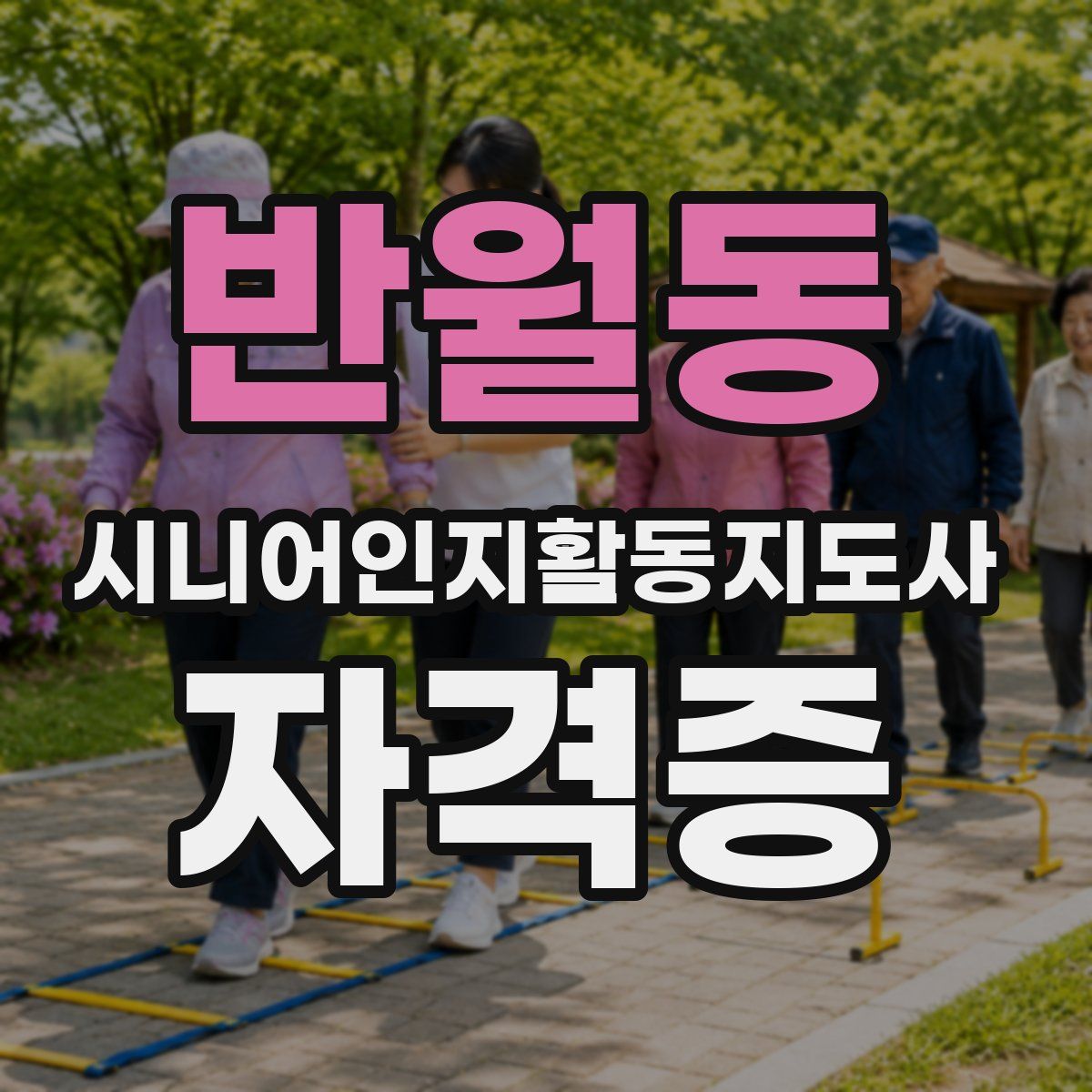 반월동 시니어인지활동지도사 자격증