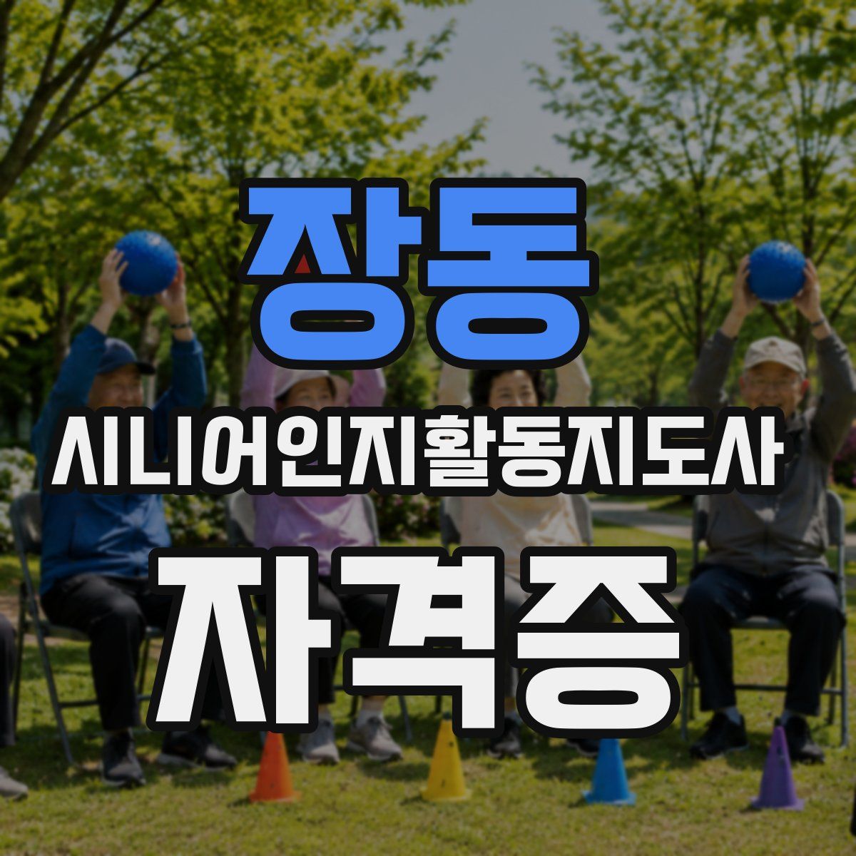 장동 시니어인지활동지도사 자격증