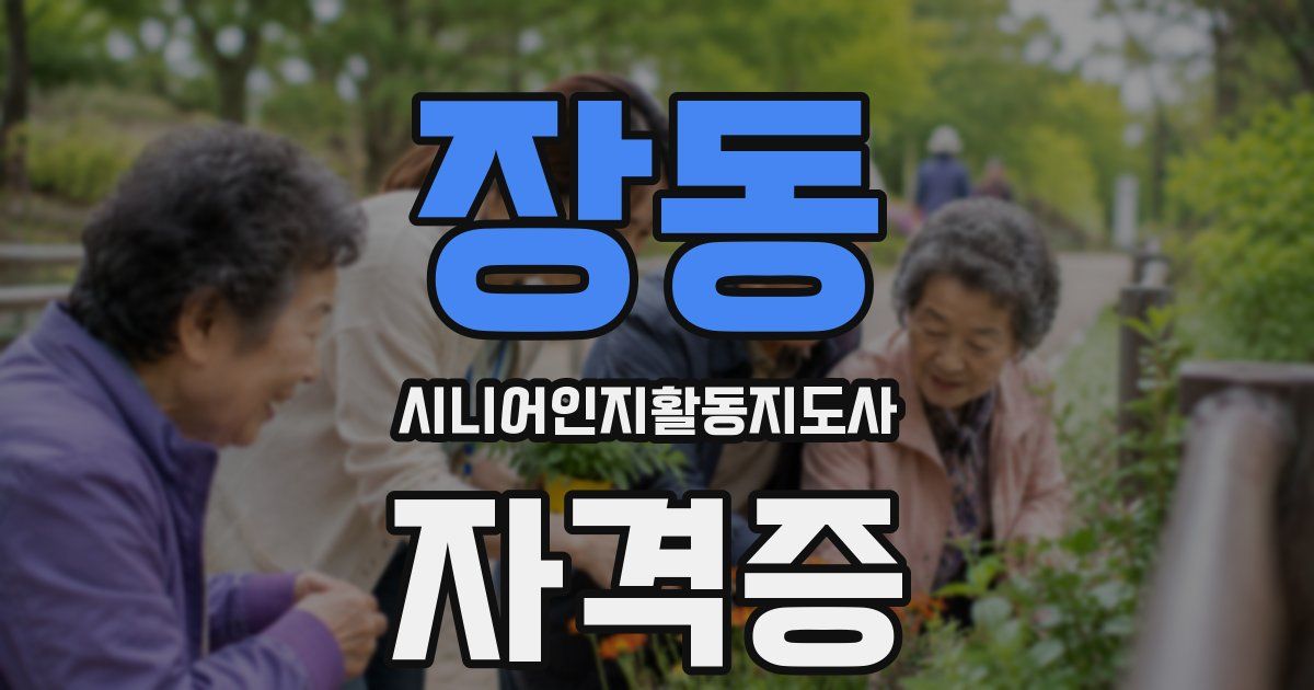 장동 시니어인지활동지도사 자격증
