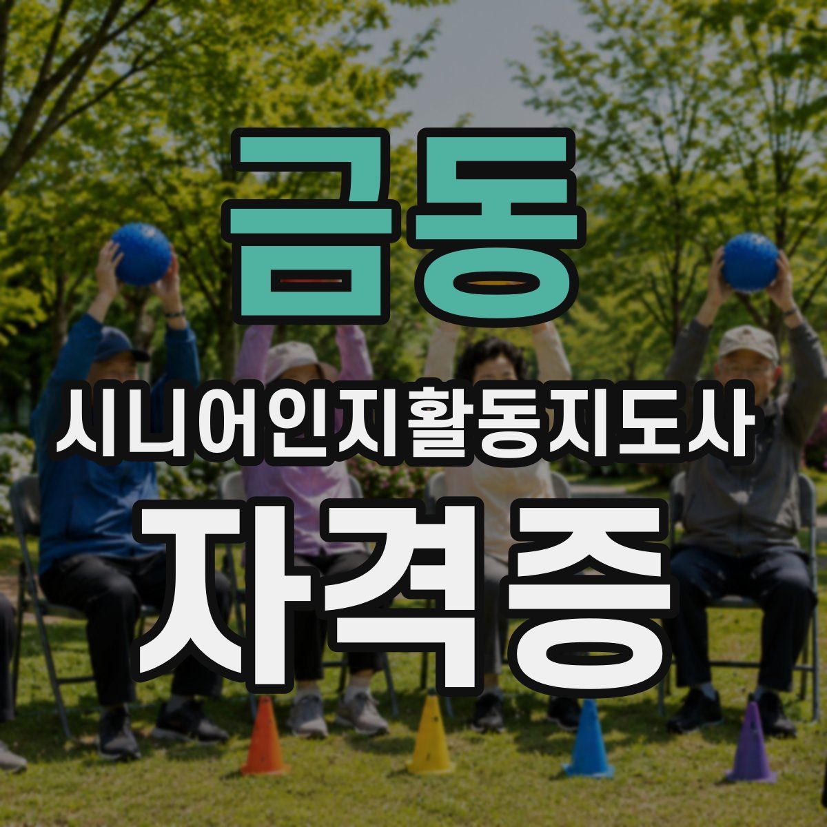 금동 시니어인지활동지도사 자격증
