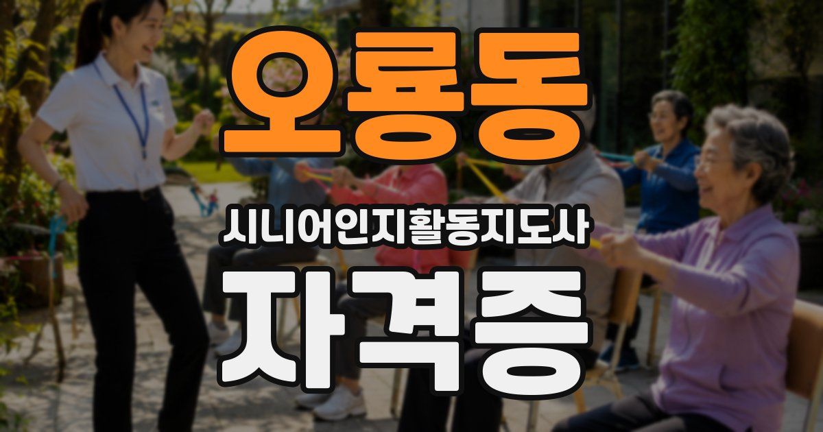 오룡동 시니어인지활동지도사 자격증